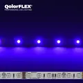 CT QOLORFLEX RGBI LED STRIP Indoor 12V Tape (5050-12-RGBI-60-5-20-1)