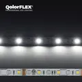 CT QOLORFLEX RGBNW LED STRIP Indoor 12V Tape(5050-12-RGBNW-60-5-20-1)