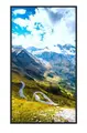 Hisense  FHD 1080P High Brightness 2500nits, 24/7, Android 9.0 D-LED