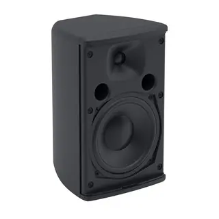 Martin Audio Adorn A55 5"  Black 2-way passive