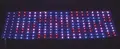 Protech RGB W6500, 4 led/pixel, 800led/sht, 92W, 24V